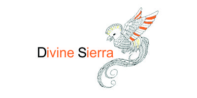 Divine Sierra | Professionnel et spécialiste de l'artisanat en Amérique centrale